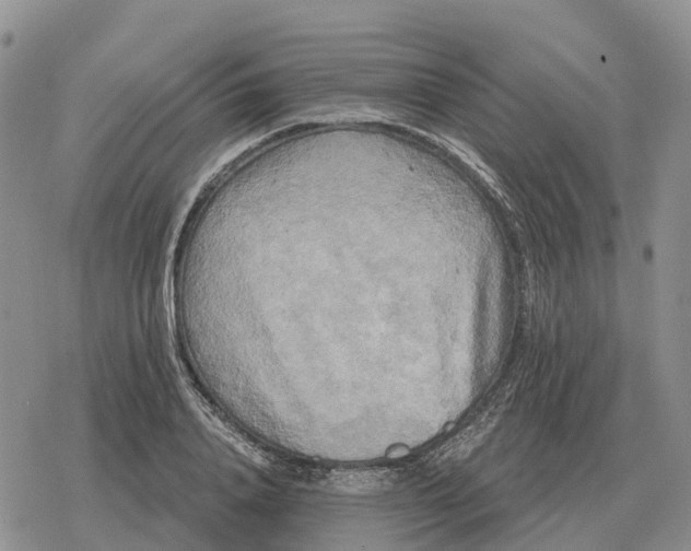 X0000078290840200611251441