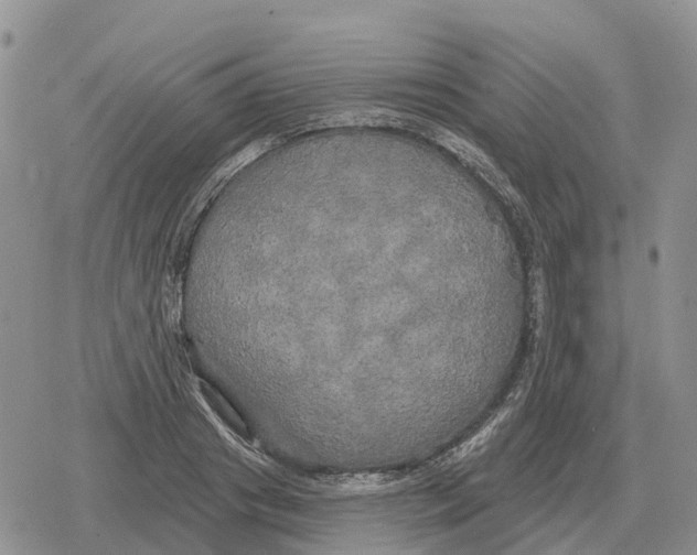 X0000078290841200611251441