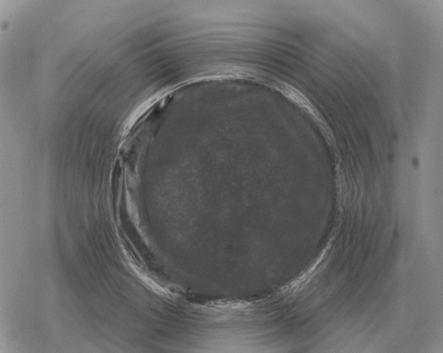 X0000078290842200611251441