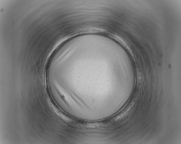 X0000078290843200611251441