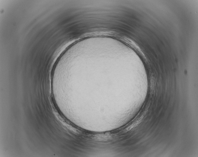 X0000078290844200611251441