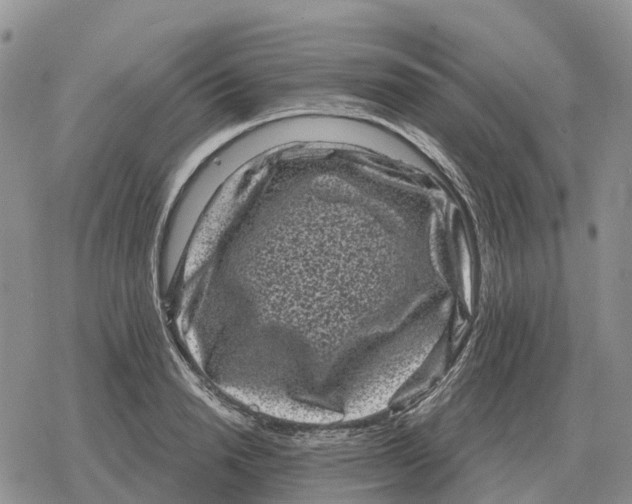 X0000078290846200611251441