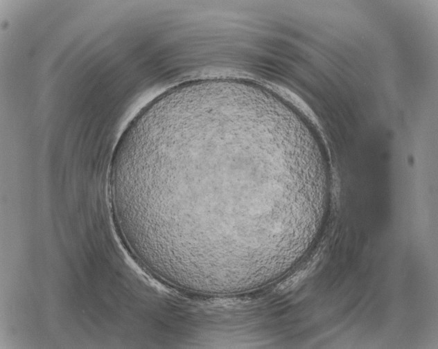 X0000078290847200611251441