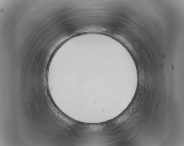 X0000078290848200611251441