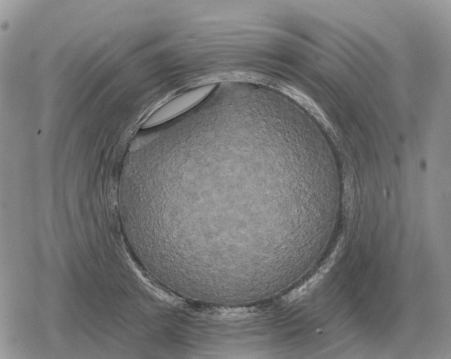 X0000078290849200611251441