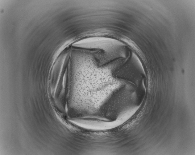 X0000078290850200611251441