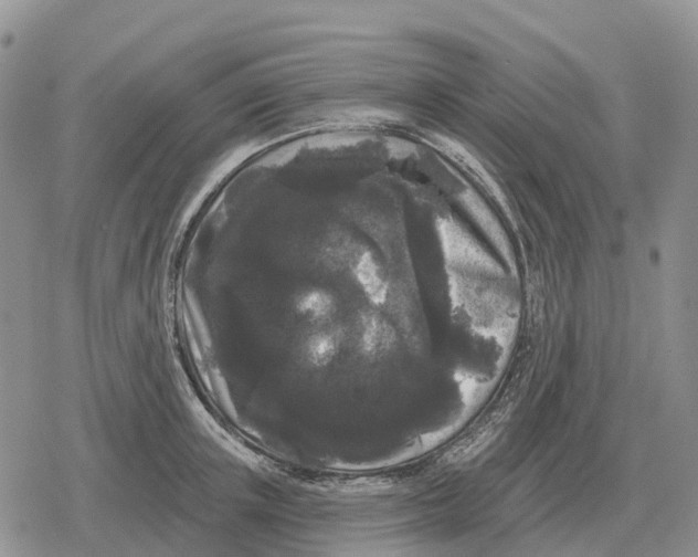 X0000078290851200611251441