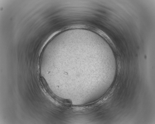 X0000078290852200611251441