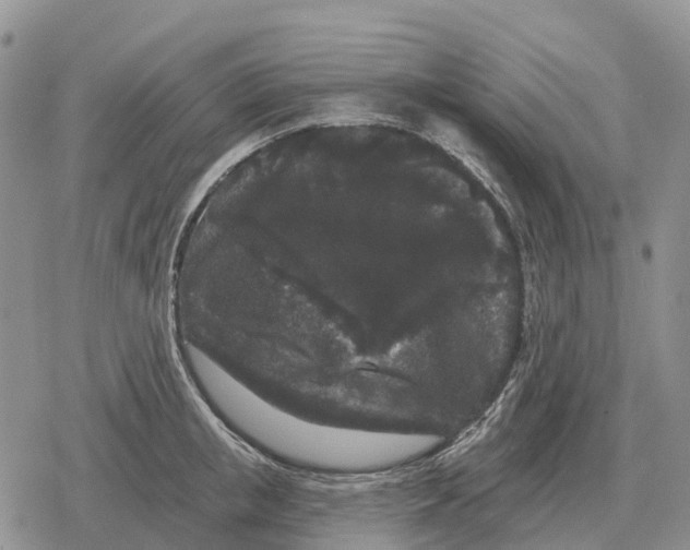 X0000078290853200611251441