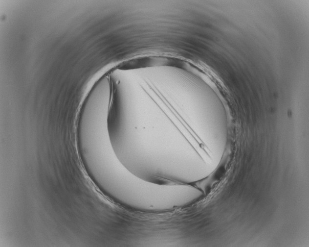 X0000078290854200611251441