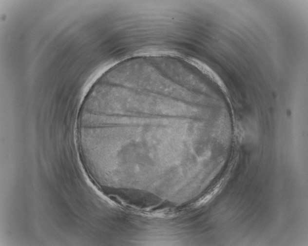 X0000078290855200611251441