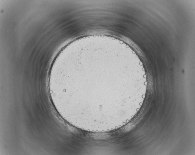 X0000078290856200611251441