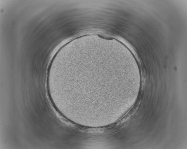 X0000078290861200611251441