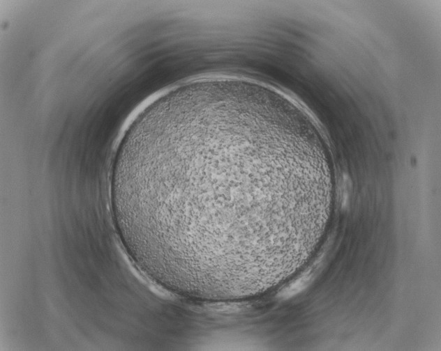 X0000078290862200611251441