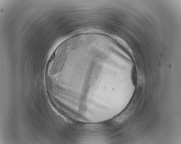 X0000078290863200611251441