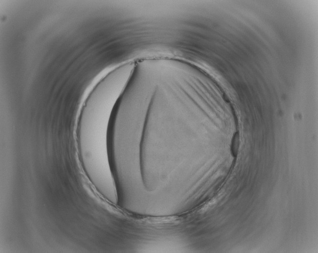 X0000078290864200611251441