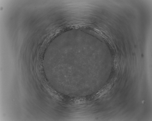 X0000078290865200611251441