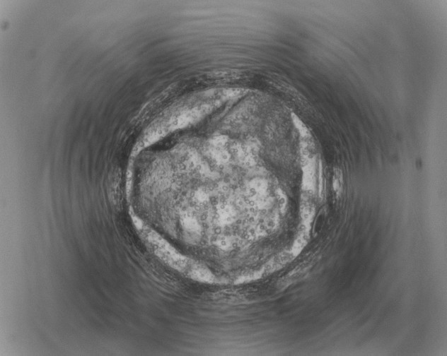 X0000078290867200611251441