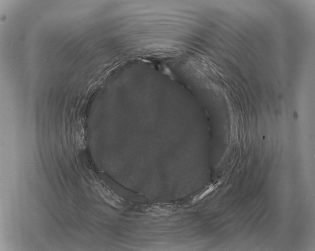 X0000078290868200611251441