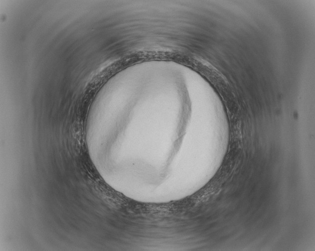 X0000078290870200611251441