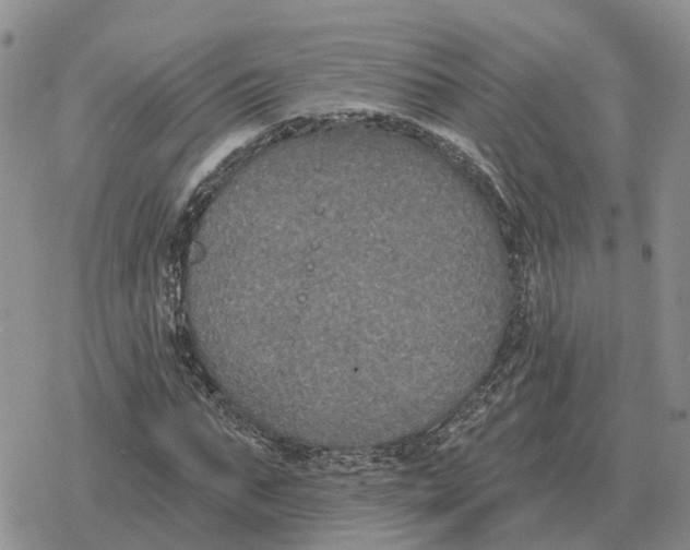 X0000078290871200611251440