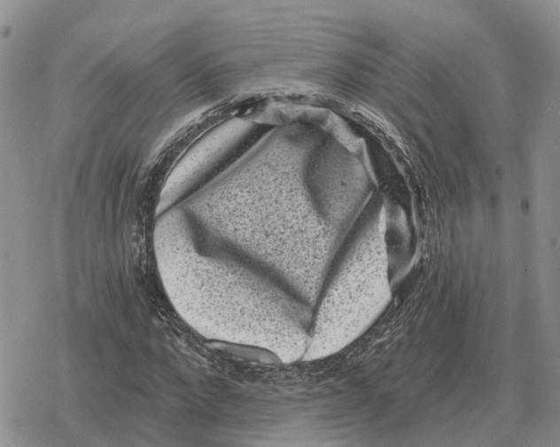 X0000078290872200611251440