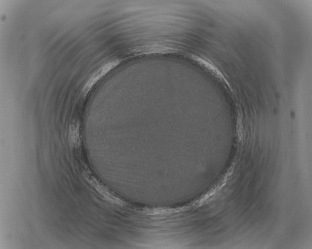 X0000078290873200611251440