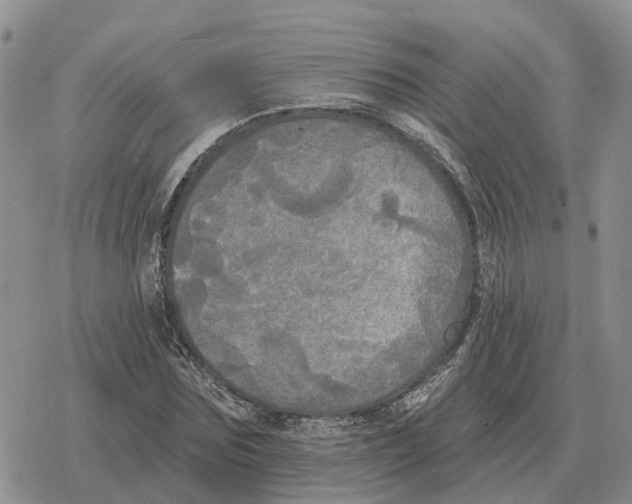 X0000078290875200611251440