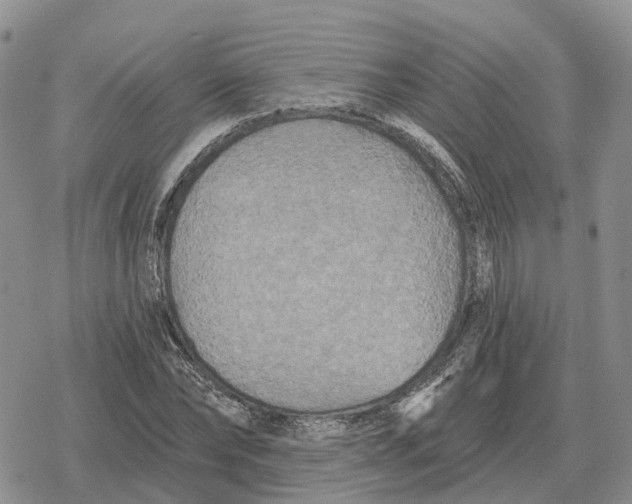 X0000078290878200611251440