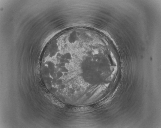 X0000078290879200611251440