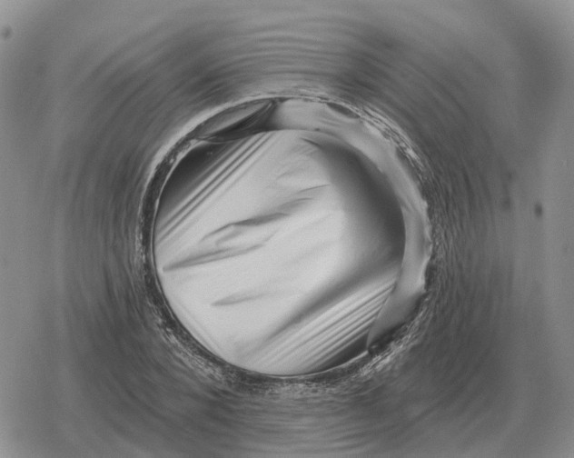 X0000078290880200611251440