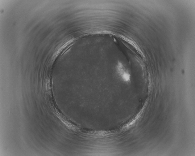 X0000078290881200611251440