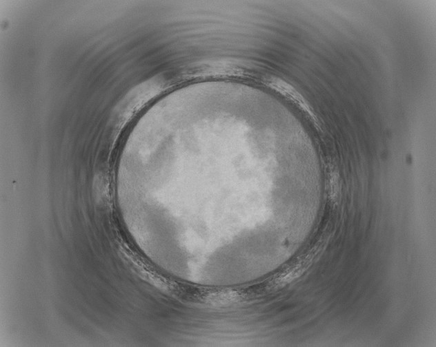 X0000078290882200611251440