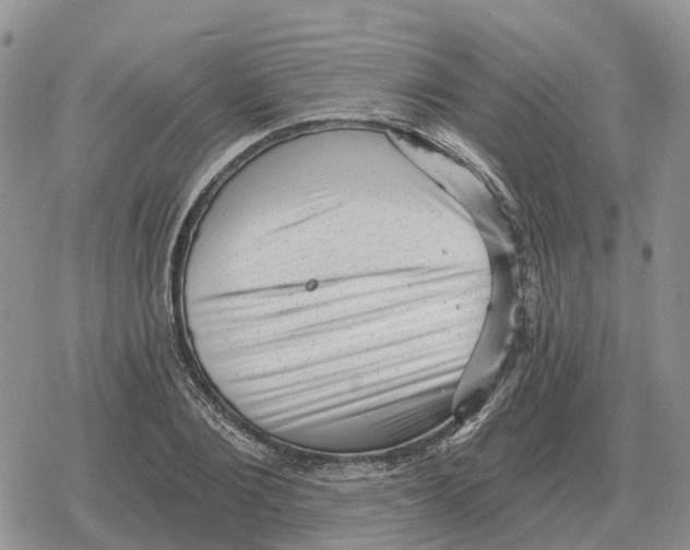 X0000078290884200611251440