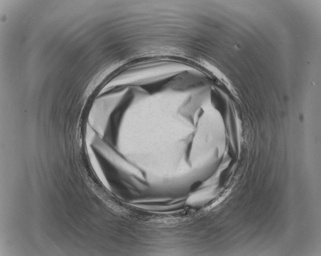 X0000078290885200611251440