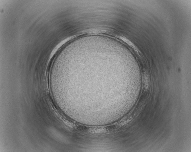 X0000078290886200611251440