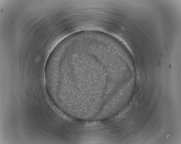 X0000078290887200611251440