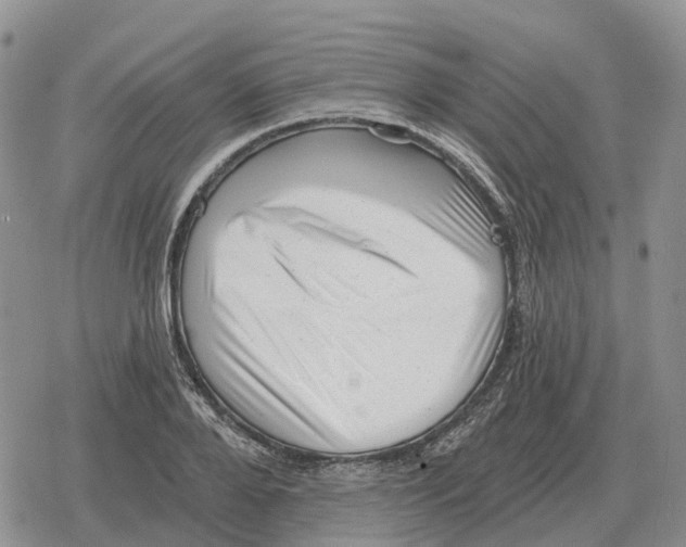 X0000078290888200611251440