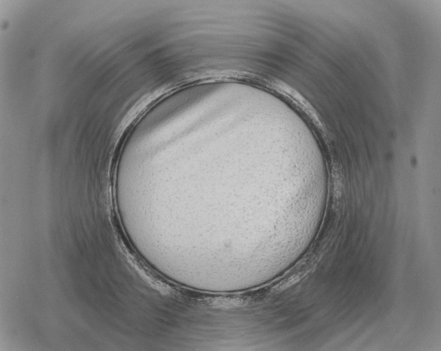 X0000078290890200611251440