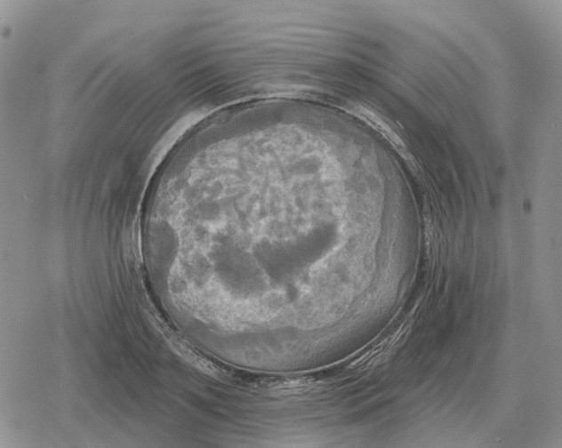 X0000078290891200611251440