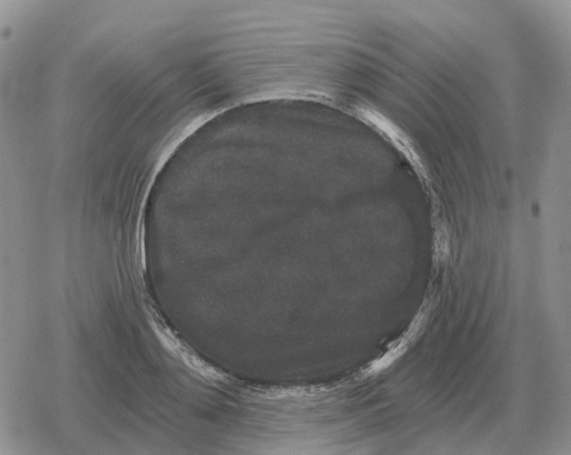 X0000078290892200611251440