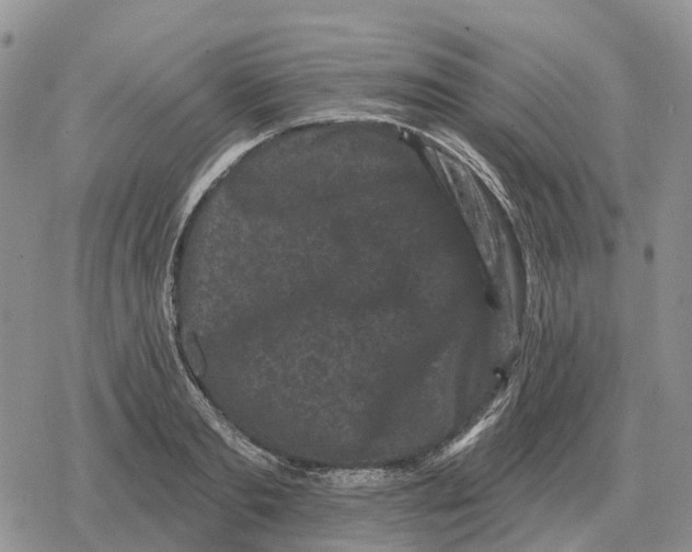 X0000078290893200611251440