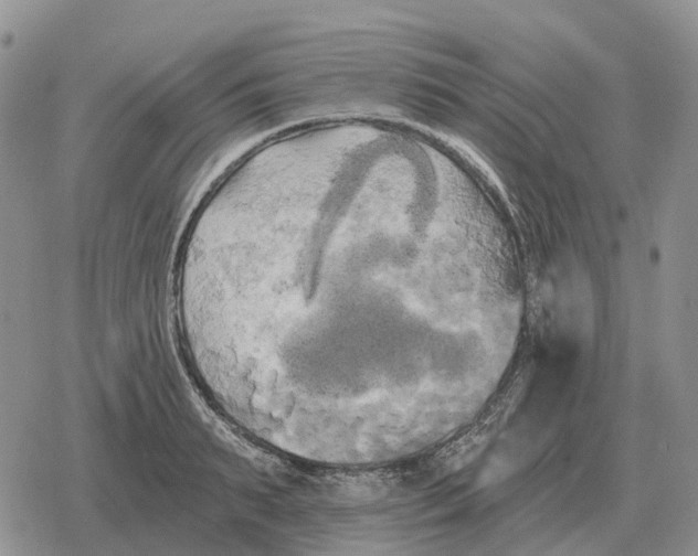 X0000078290895200611251440