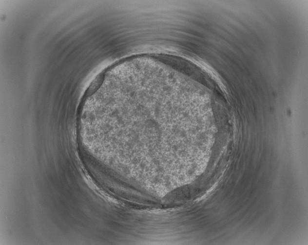 X0000078290896200611251440