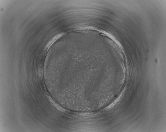 X0000078290897200611251440