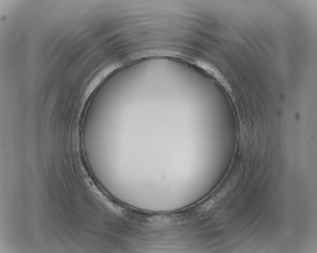 X0000078290898200611251440