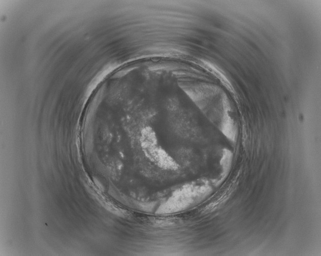 X0000078290899200611251440