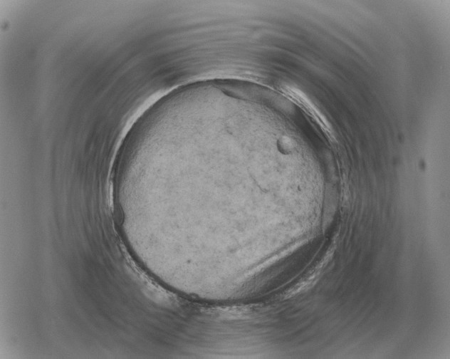 X0000078290900200611251440