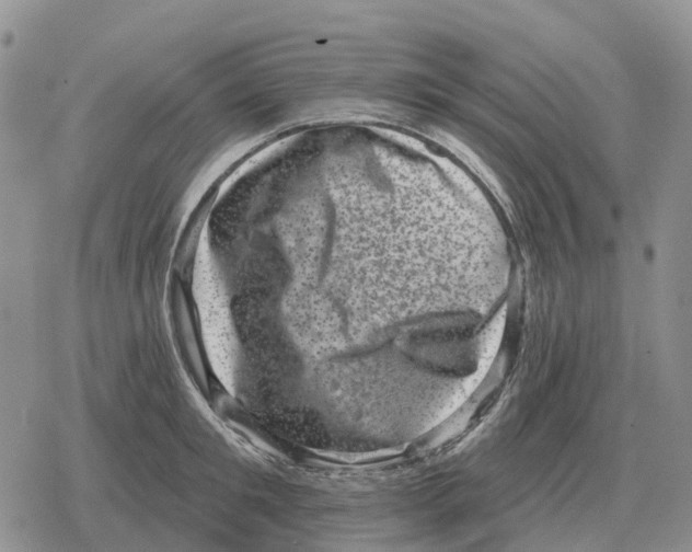 X0000078290901200611251440