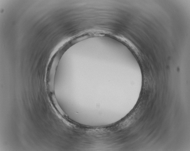 X0000078290902200611251440